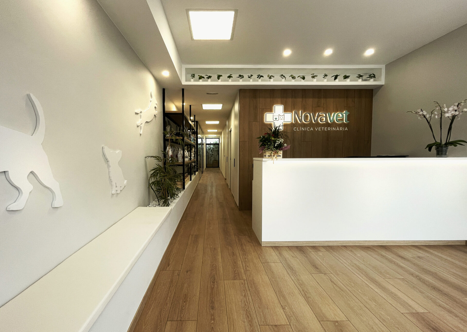 Reforma de local para clinica veterinaria, Novavet